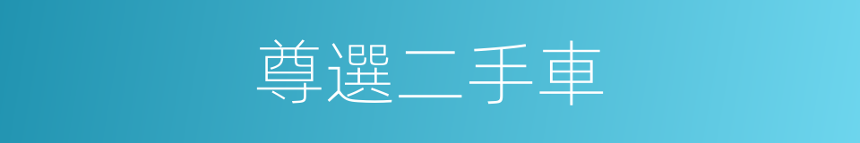尊選二手車的同義詞
