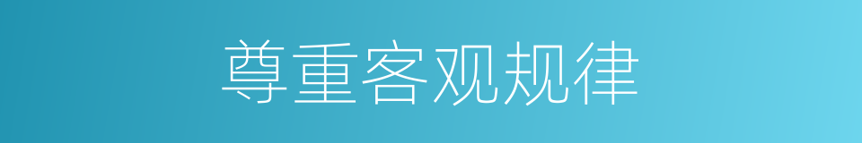 尊重客观规律的同义词