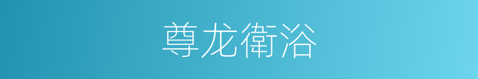 尊龙衛浴的同義詞