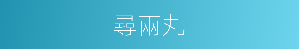 尋兩丸的同義詞