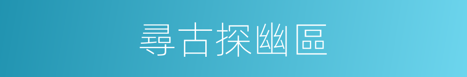 尋古探幽區的同義詞
