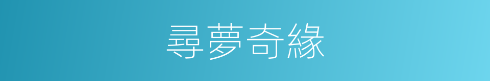 尋夢奇緣的同義詞