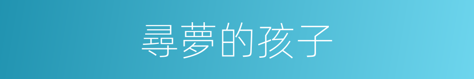 尋夢的孩子的同義詞