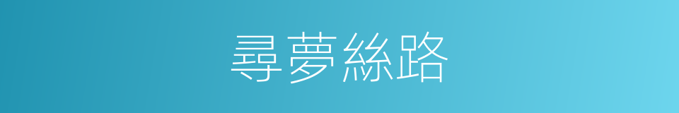 尋夢絲路的同義詞