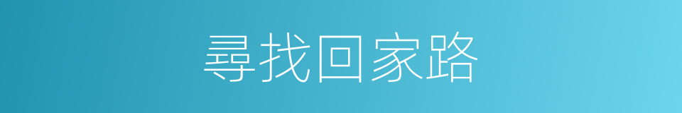尋找回家路的同義詞