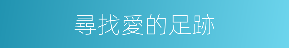 尋找愛的足跡的同義詞