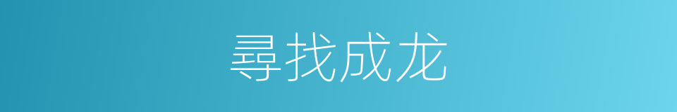 尋找成龙的同義詞