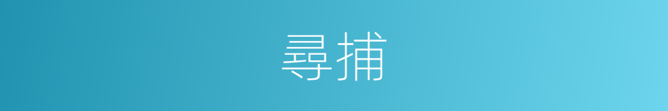 尋捕的同義詞