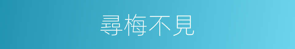 尋梅不見的同義詞