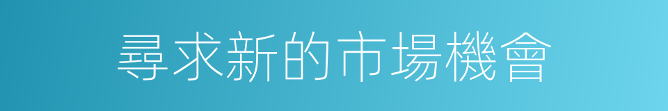 尋求新的市場機會的同義詞