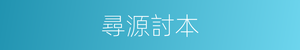 尋源討本的意思