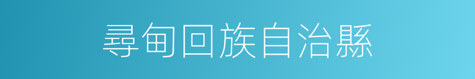 尋甸回族自治縣的同義詞