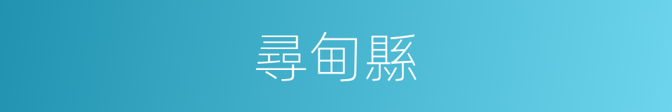 尋甸縣的同義詞