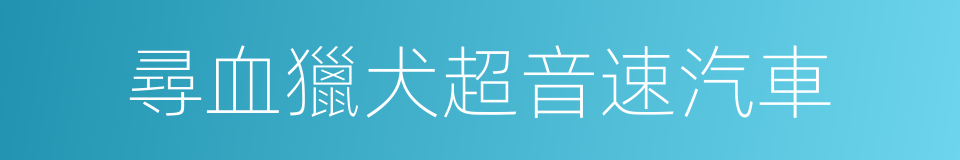 尋血獵犬超音速汽車的同義詞