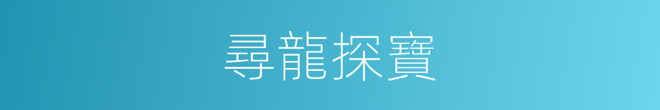 尋龍探寶的同義詞