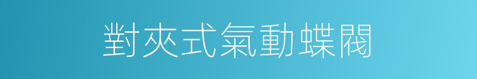對夾式氣動蝶閥的同義詞
