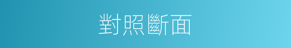 對照斷面的同義詞