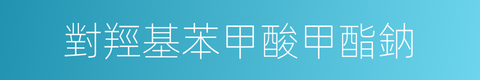 對羥基苯甲酸甲酯鈉的同義詞