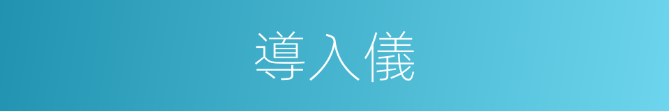 導入儀的同義詞