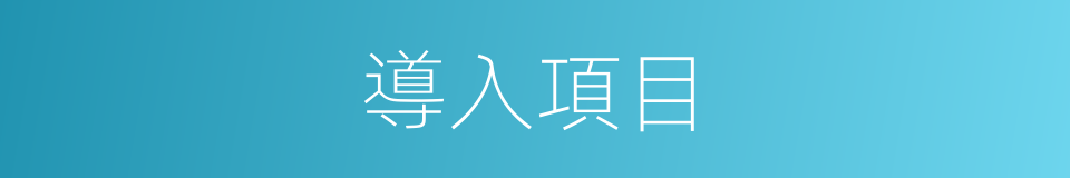 導入項目的同義詞