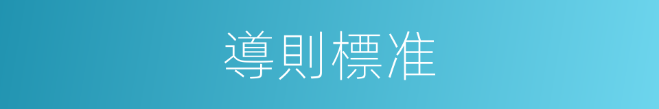 導則標准的同義詞