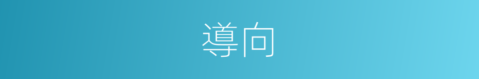 導向的意思