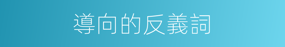 導向的反義詞的同義詞
