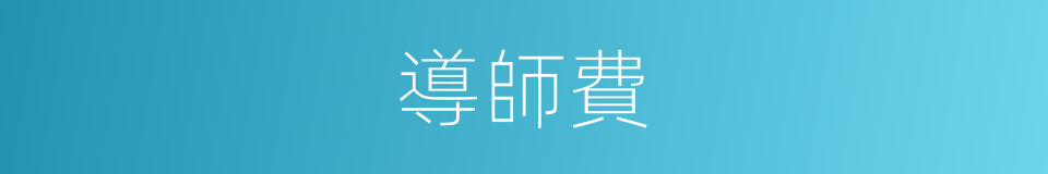 導師費的同義詞