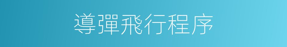 導彈飛行程序的同義詞