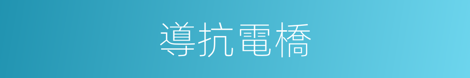 導抗電橋的同義詞