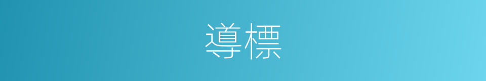導標的意思