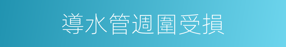 導水管週圍受損的同義詞