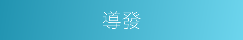 導發的意思