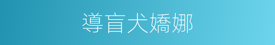 導盲犬嬌娜的同義詞