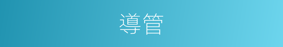 導管的意思