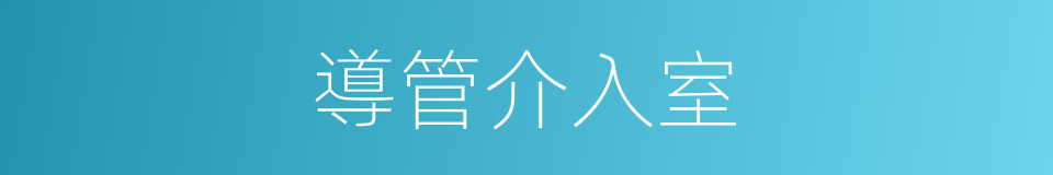 導管介入室的同義詞