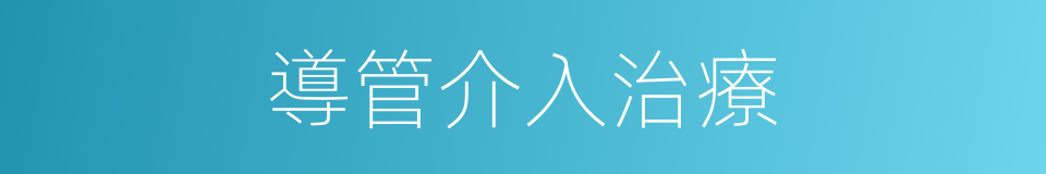 導管介入治療的同義詞