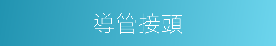 導管接頭的同義詞