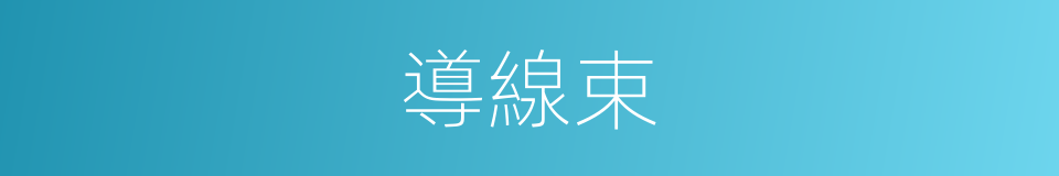 導線束的同義詞