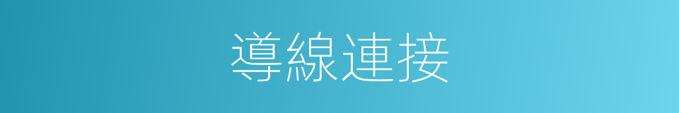 導線連接的同義詞