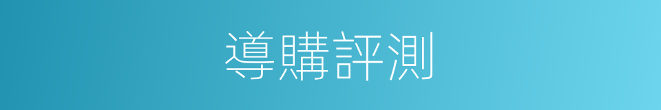 導購評測的同義詞