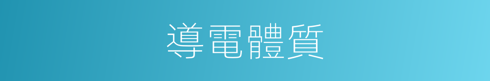 導電體質的同義詞
