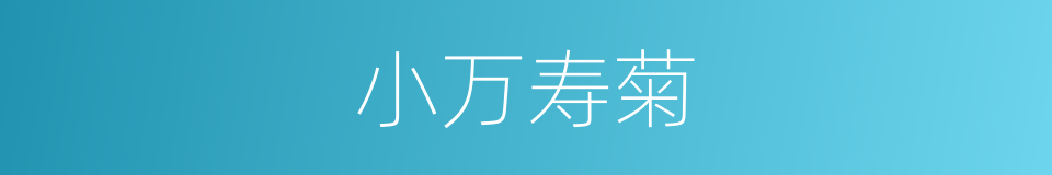 小万寿菊的同义词