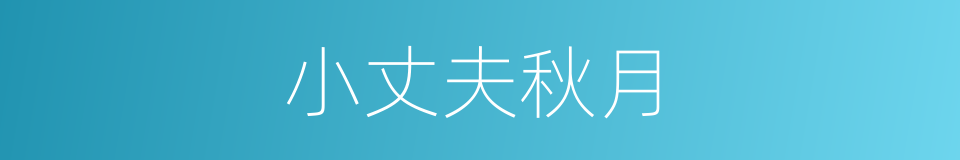 小丈夫秋月的同义词