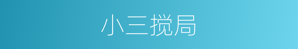 小三搅局的同义词
