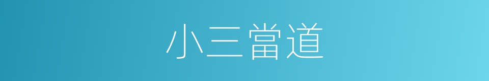 小三當道的同義詞