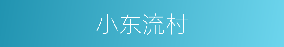 小东流村的同义词
