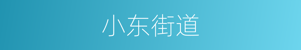 小东街道的同义词