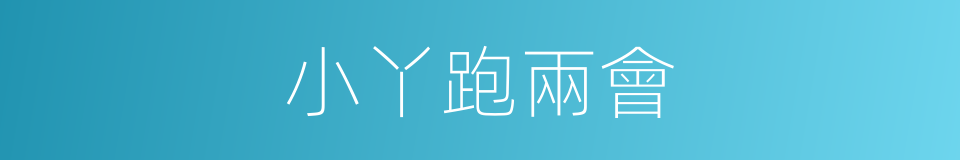 小丫跑兩會的同義詞