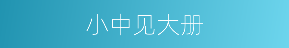 小中见大册的同义词